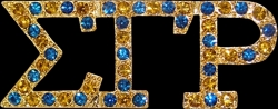 View Buying Options For The Sigma Gamma Rho Austrian Crystal Lapel Pin