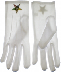 View Product Detials For The Eastern Star Emblem Ladies Ritual Gloves