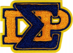 View Buying Options For The Sigma Gamma Rho Stack Letters Chenille Sew-On Patch