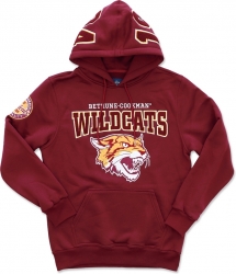 View Buying Options For The Big Boy Bethune-Cookman Wildcats S4 Mens Pullover Hoodie