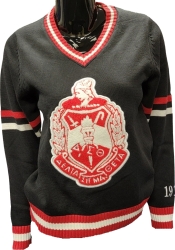 View Product Detials For The Buffalo Dallas Delta Sigma Theta Chenille V-Neck Varsity Sweater