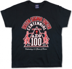 View Buying Options For The Big Boy Delta Sigma Theta Centennial Graphic Divine 9 S9 Ladies Tee