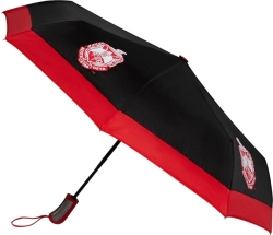View Buying Options For The Delta Sigma Theta Mini Hurricane Umbrella