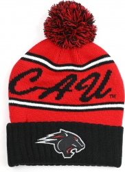 View Buying Options For The Big Boy Clark Atlanta Panthers S252 Beanie With Ball