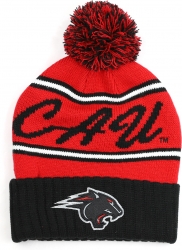 View Product Detials For The Big Boy Clark Atlanta Panthers S252 Beanie With Ball