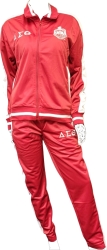 View Buying Options For The Buffalo Dallas Delta Sigma Theta Vintage Track Suit