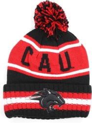 View Buying Options For The Big Boy Clark Atlanta Panthers S254 Beanie With Ball