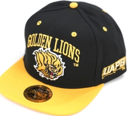 View Buying Options For The Big Boy Arkansas At Pine Bluff Golden Lions S144 Mens Snapback Cap