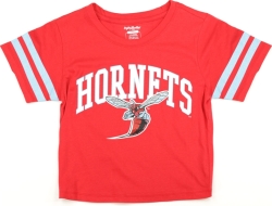 View Buying Options For The Big Boy Delaware State Hornets S4 Cropped Womens Tee