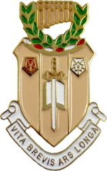View Product Detials For The Sigma Alpha Iota Shield Lapel Pin
