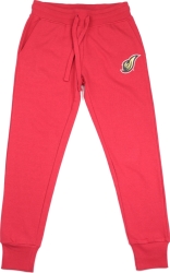 View Buying Options For The Big Boy District Of Columbia Firebirds S4 Womens Sweatpants