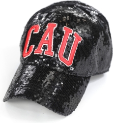 View Buying Options For The Big Boy Clark Atlanta Panthers S144 Womens Sequins Cap