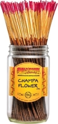 View Buying Options For The Wild Berry Champa Flower Incense Stick Bundle [Pre-Pack]